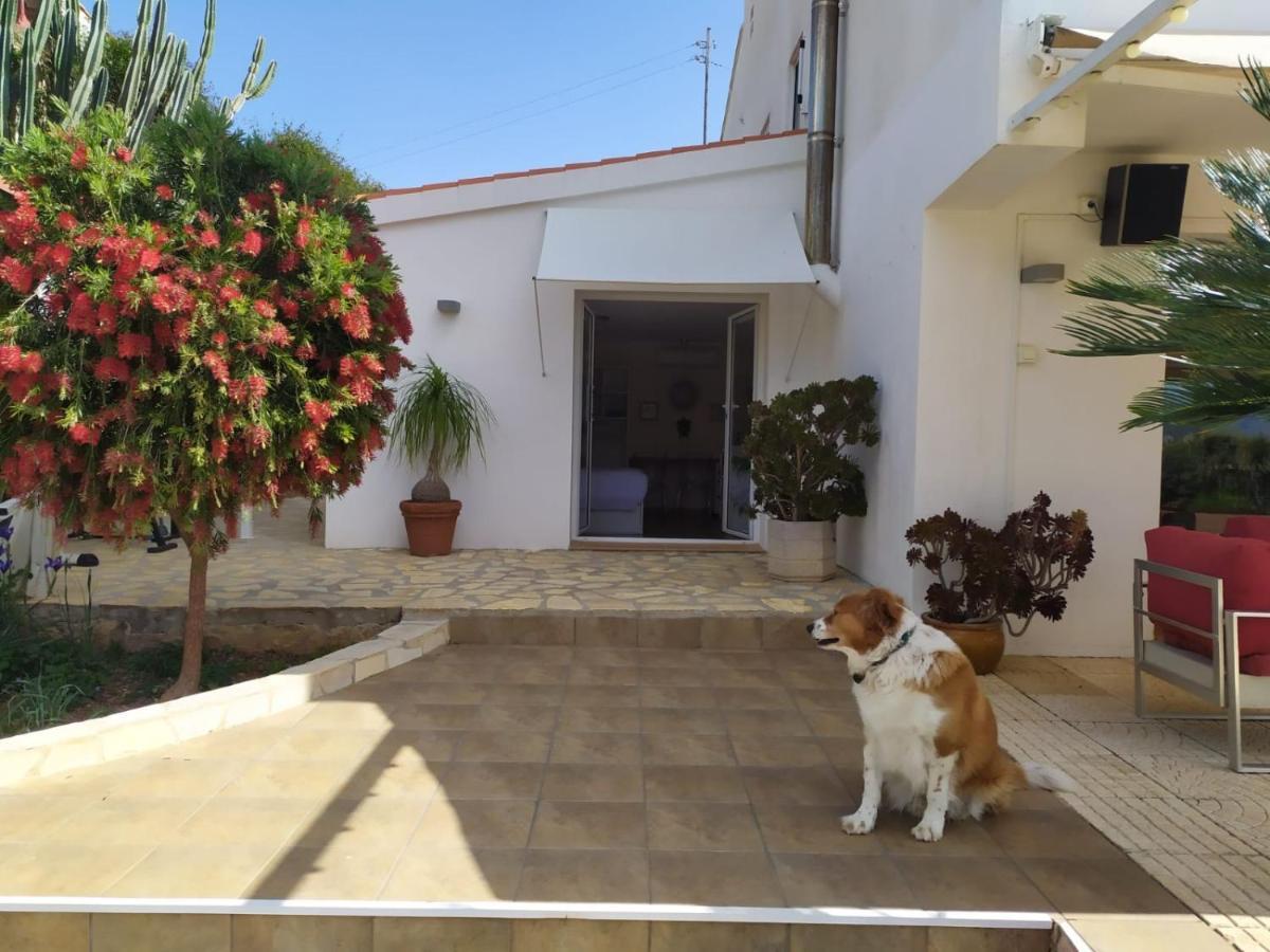 Berg & Zon Hotel Gandia Bagian luar foto